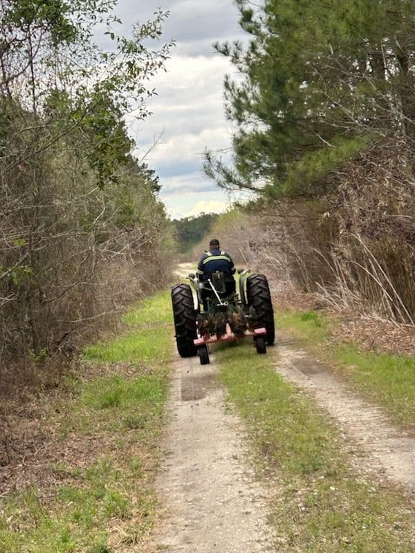 Efficient Land Clearing for Pathways and Food Plots