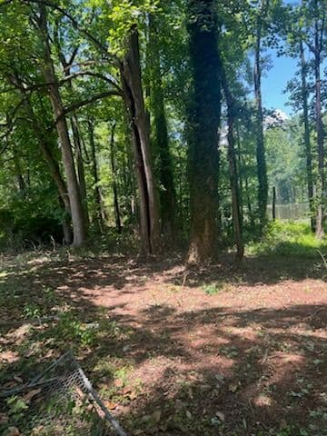 Transforming Dense Woods to Open Spaces image