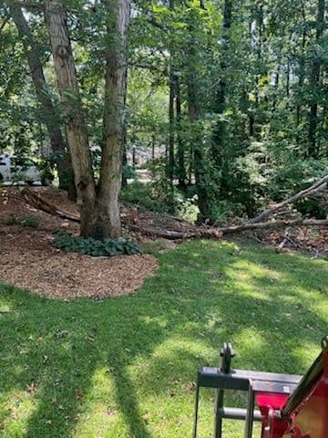 Gallery photos for Transforming Dense Woods to Open Spaces: Image #2