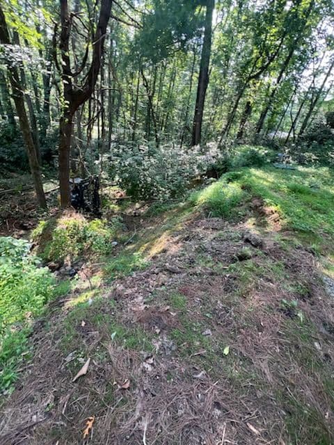 Gallery photos for Slope Restoration and Land Clearing in Fairview NC: Image #1