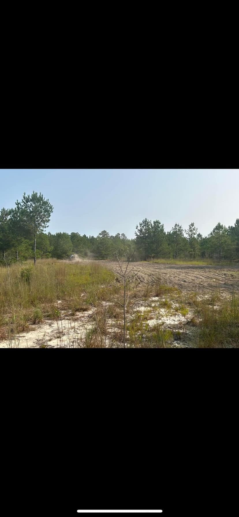 Innovative Wildlife Management's image